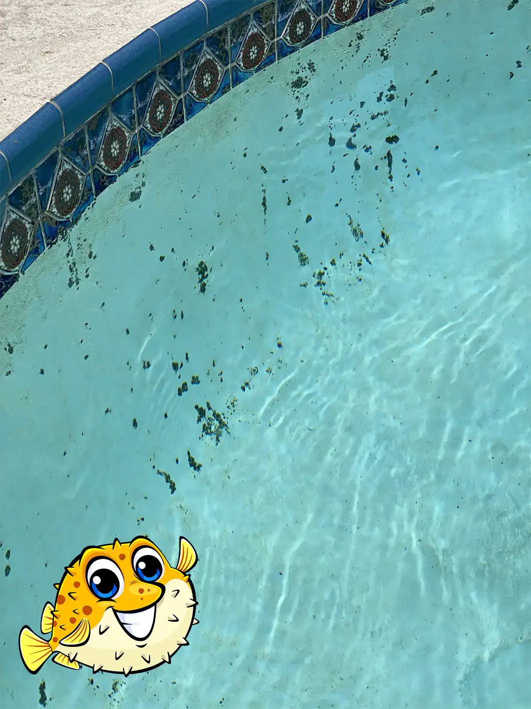 Addressing Algae