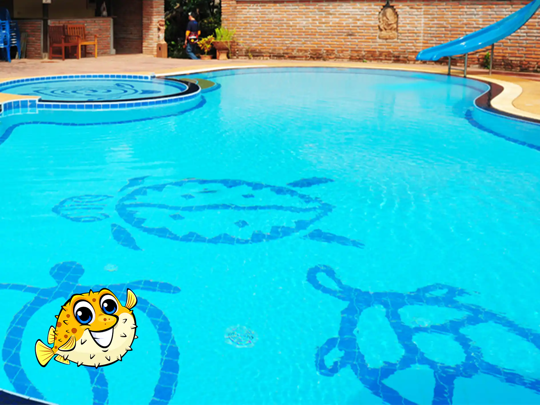 Abbotsford Pool Cleaning Service