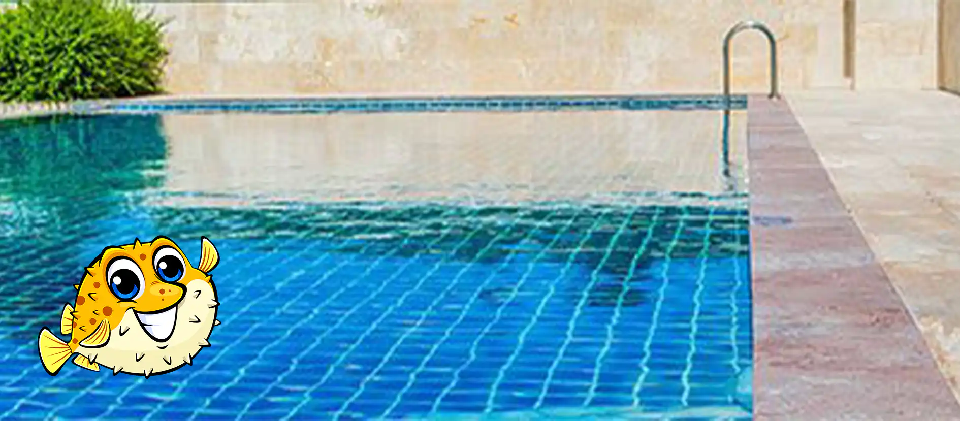 Pool Maintenance Burnaby