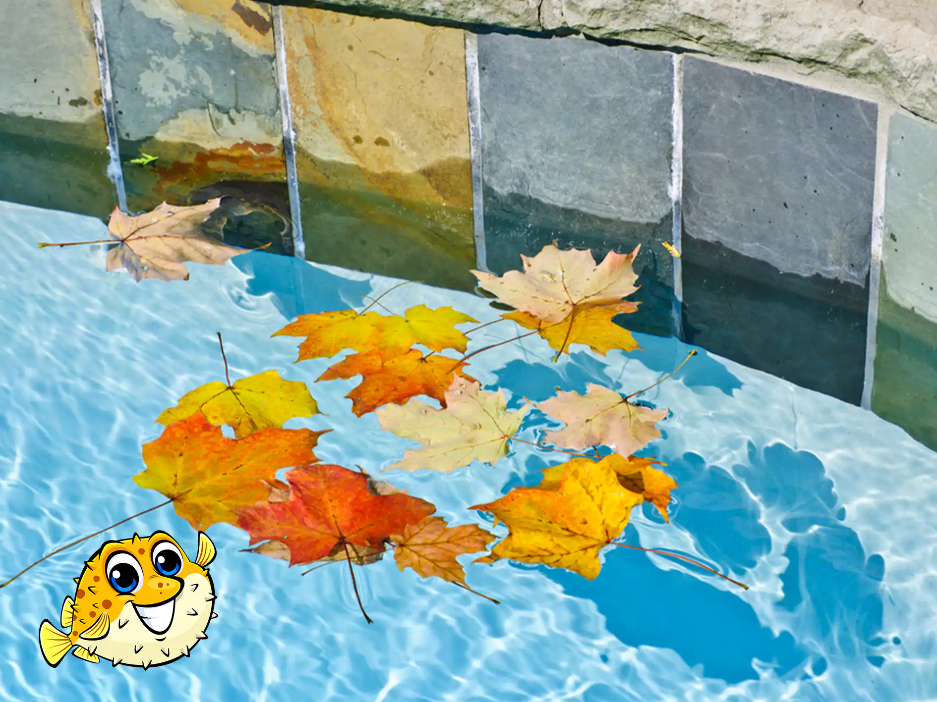 Burnaby Seasonal Pool Maintenance