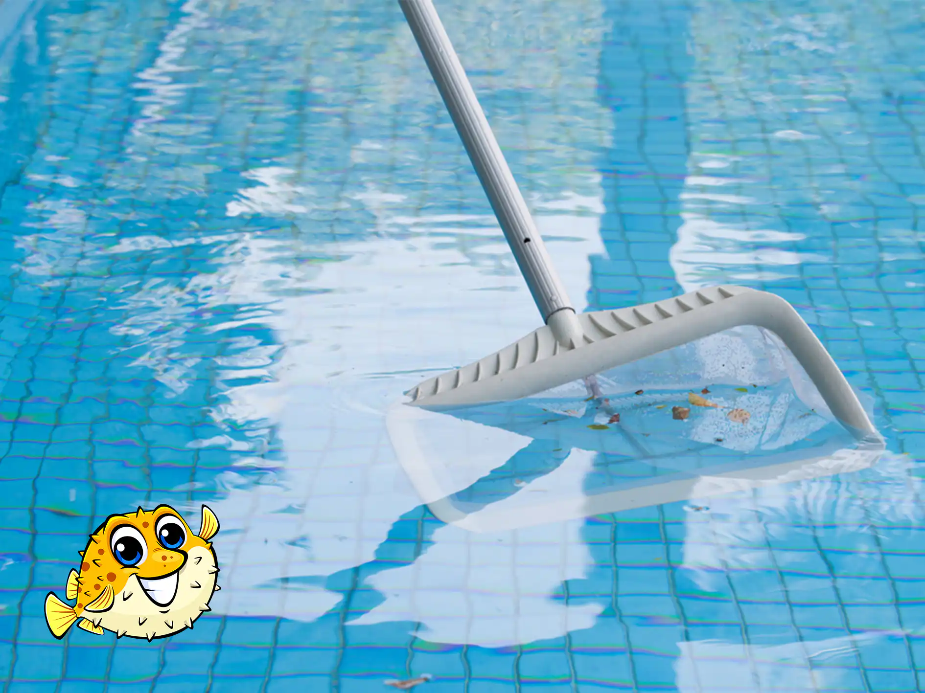 Chilliwack Pool Cleaning Service