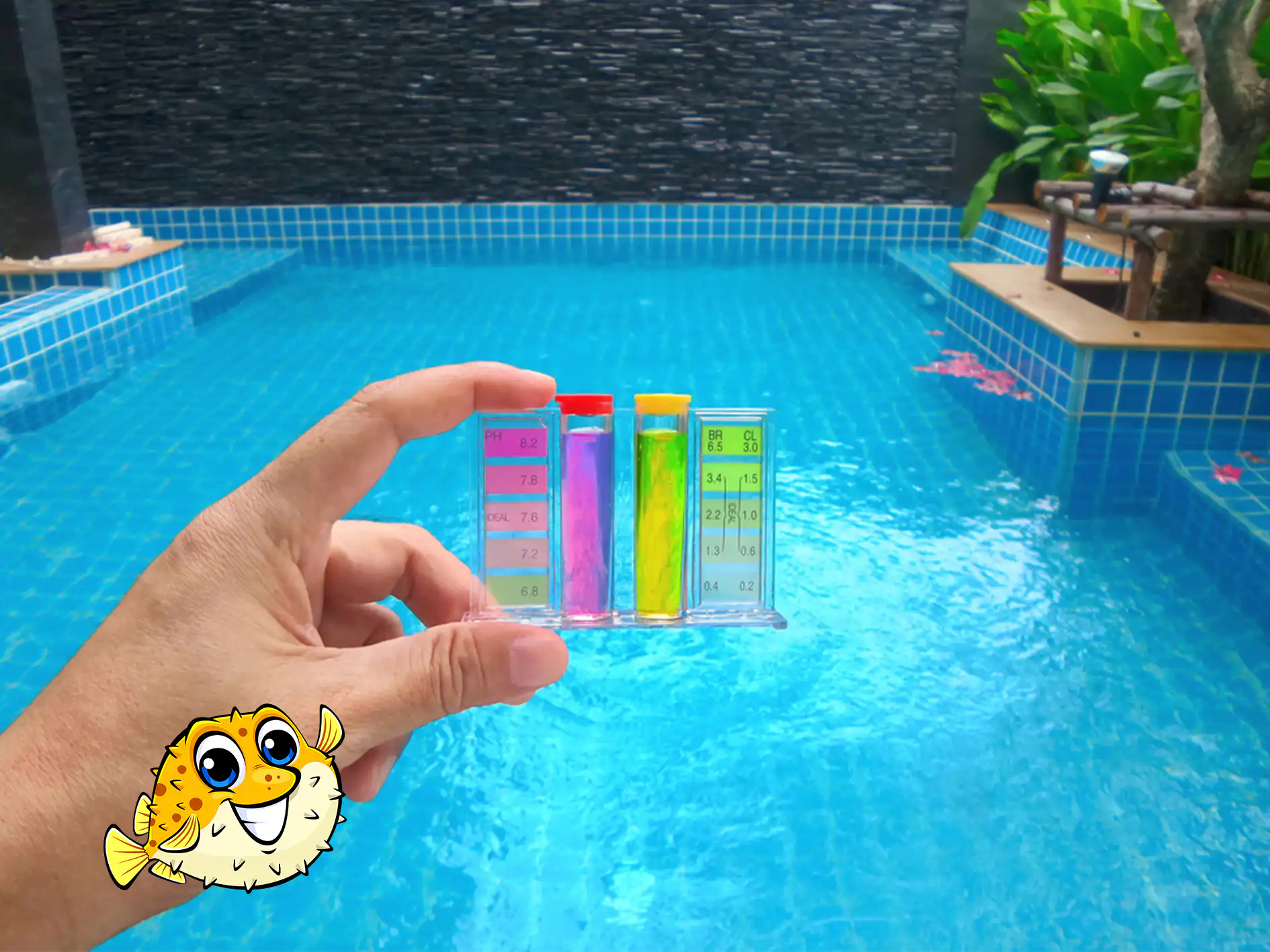Coquitlam Pool Cleaning Service