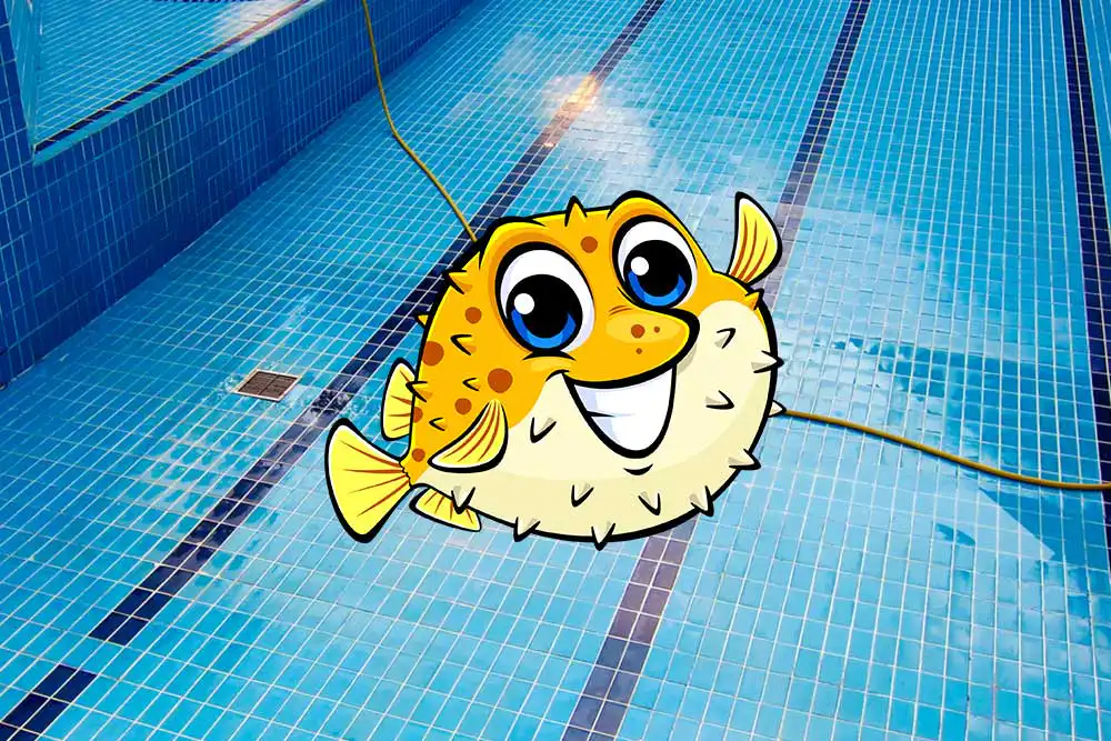 Protecting Your Pool Liner