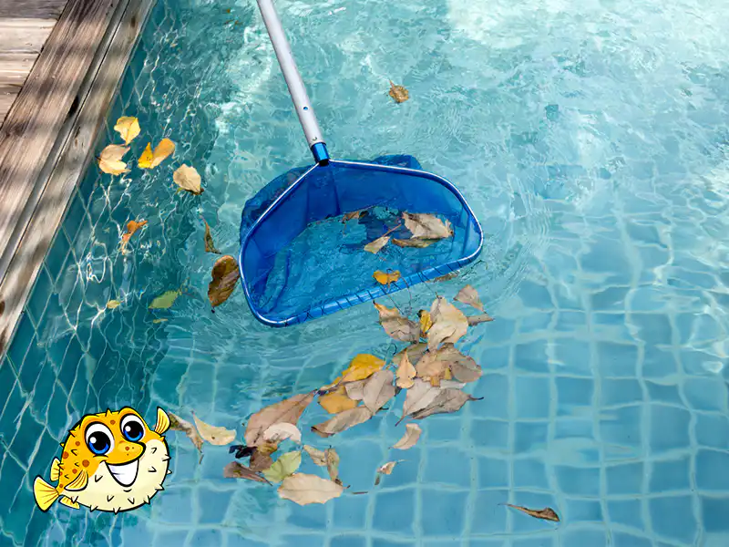 Surrey Seasonal Pool Maintenance