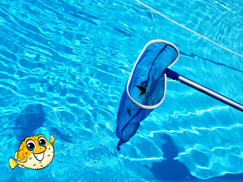 Vancouver Pool Cleaning Service