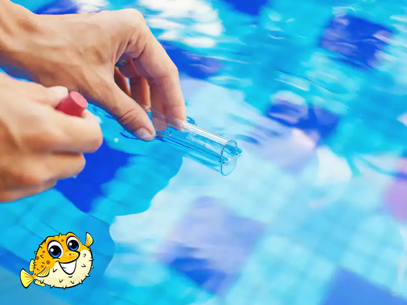 West Vancouver Pool Cleaning Service