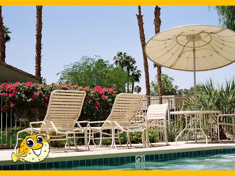 Preserving Your Pool Area