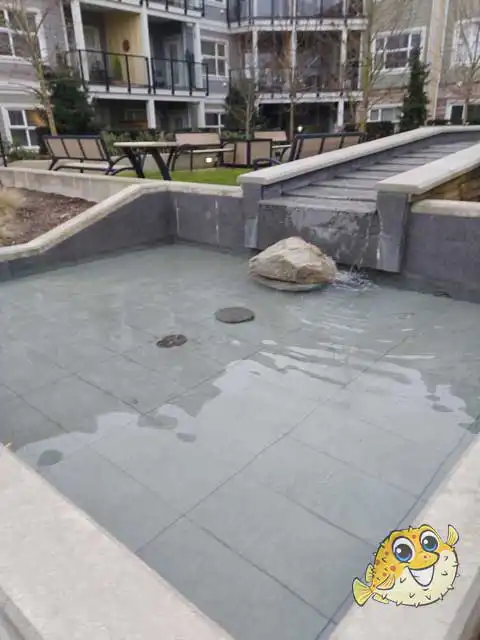 Aldergrove Water Feature Maintenance