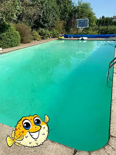 What Is Making Your Pool Water Cloudy?