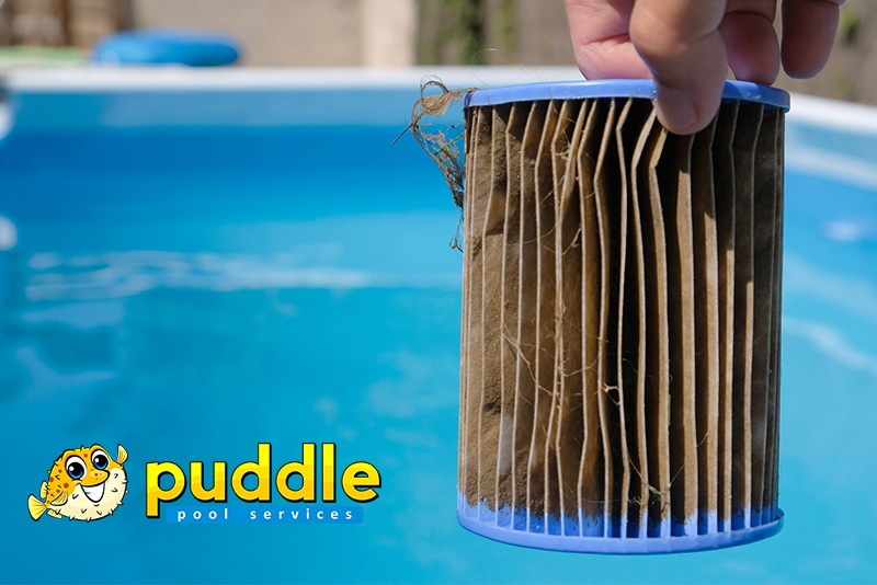 Pool tech holds up dirty pool filter cartridge