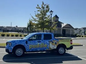 Charlotte Puddle Pools