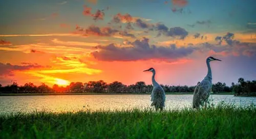jupiter hot tub cleaning
