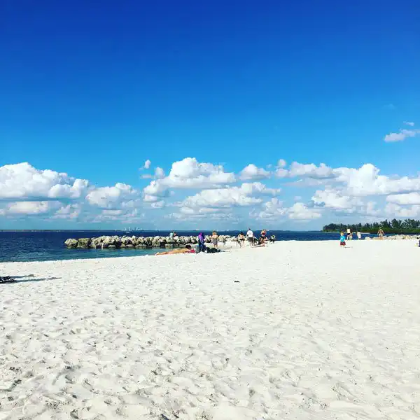 Apollo Beach Nature Preserve - Parrish Florida
