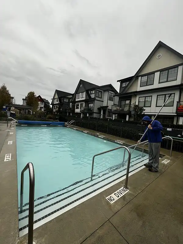 maple ridge pool cleaning services
