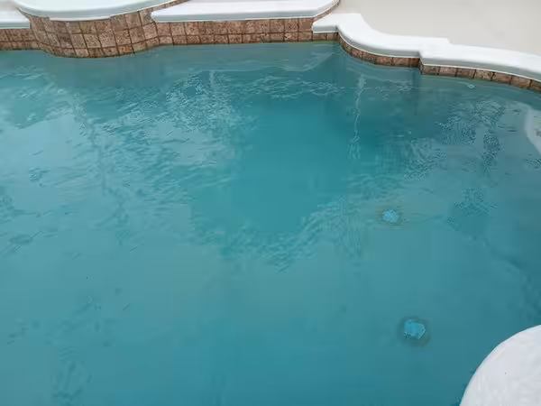 wedgefield pool cleaning services