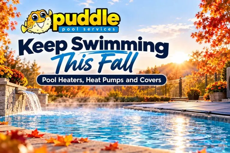 Heated backyard pool on a fall evening